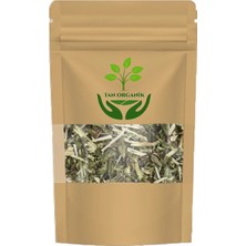 Tan Organik Mavi Hindiba Otu 100GR