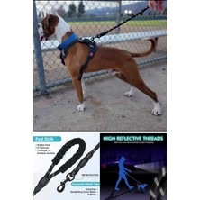 Feyza Design Reflektörlü Köpek Gezdirme Tasması ve Kayışı, 130 Cm, Orta ve Büyük Boy