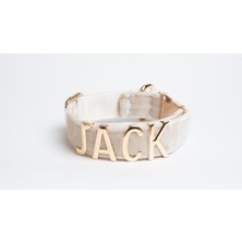 Feyza Design Kişiselleştirilebilir Köpek Boyun Tasması, Özel ve Şık Tasarım