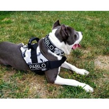 Feyza Design Kişiye Özel K9 Köpek Tasması Göğüs ve Boyun Seti