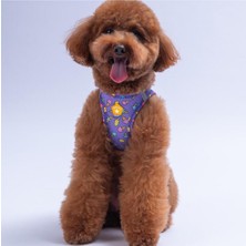 Feyza Design Renkli Air-Mesh Göğüs Tasması, Konforlu ve Şık Kedi Köpek Tasması