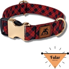 Feyza Design Renkli ve Şık Köpek Boyun Tasması, Konforlu ve Dayanıklı Tasarım