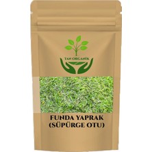 Tan Organik Süpürge Otu (Funda Yaprağı) 250GR