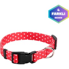 Feyza Design Renkli ve Desenli Köpek Boyun Tasması, Tüm Irklar Için Şık Seçenek