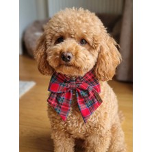 Feyza Design Kırmızı Ekose Köpek Fiyonk Papyon Kurdele Tasma Üstü Sevimli Aksesuar