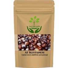 Tan Organik At Kestanesi Tane (Aesculus Hippocastanum) 50GR