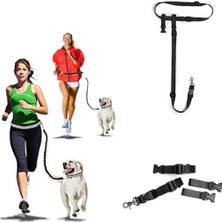 Feyza Design Konforlu ve Pratik Köpek Bel Tasması, Eller Serbest Gezdirme Özelliği