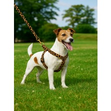 Feyza Design Leopar Desenli Köpek Göğüs Tasması ve Gezdirme Kayışı Seti