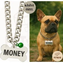 Feyza Design Şık Gümüş Pleksi Köpek Isimlik ve Paslanmaz Metal Zincir Tasma
