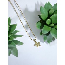 Mac Center Deniz Yıldızı Detaylı Çelik Kadın Kolye-Bayan Kolye -Kadın Kolye -Çelik Kolye-Hediye Paketli