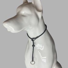 Feyza Design Ayarlanabilir Köpek Eğitim Tasması ve Yürüyüş Tasma Seti