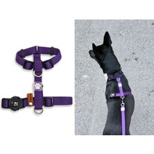 Feyza Design Konforlu ve Güvenli H Tipi Göğüs Tasması, Günlük Kullanım Için Uygun