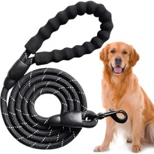 Feyza Design Renkli Köpek Boyun Tasması ve Gezdirme Zinciri Seti, Konforlu ve Şık!