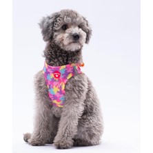 Feyza Design Şeffaf ve Hafif Hava-Mesh Köpek Göğüs Tasması, Konfor ve Stil Bir Arada