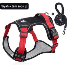 Feyza Design Konforlu Köpek Tasması ve Gezdirme Seti, Reflektörlü, Çok Renkli