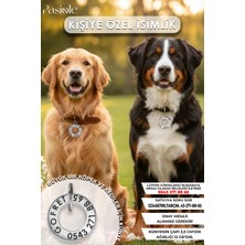 Feyza Design Çelik Köpek ve Kedi Isimliği, Dayanıklı Tasma ve Madalyon Seti