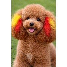 Feyza Design Taraftar Köpek Tüyleri, Eğlenceli ve Şık Ev Dekorasyonu Için Ideal