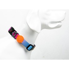 Feyza Design Ayarlanabilir Köpek Boyun Tasmaları, Dayanıklı ve Konforlu Tasarım