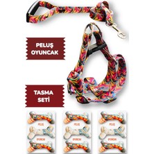 Feyza Design Renkli Köpek Tasması ve Gezdirme Kayışı Seti Peluş Oyuncaklı