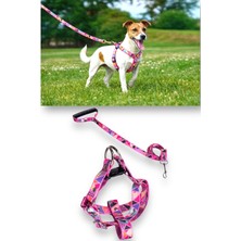 Feyza Design Yumuşak Köpek Göğüs Tasması ve Gezdirme Kayışı Seti, Konfor ve Güvenliğin Birleşimi