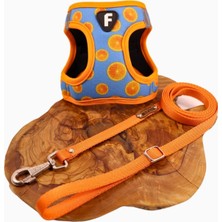 Feyza Design Renkli Köpek Göğüs Tasma Seti, Ayarlanabilir Gezdirme Kayışı