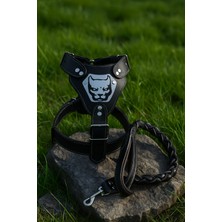 Feyza Design Konforlu ve Şık Köpek Göğüs Tasması Seti, Sağlıklı ve Güvenli Kullanım