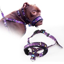 Feyza Design Renkli Desenli Köpek Ağızlığı, Eğitim ve Kontrol Için Mükemmel Seçim