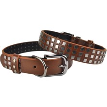 Feyza Design Sağlam ve Şık Büyük Boy Deri Köpek Tasması 55CM