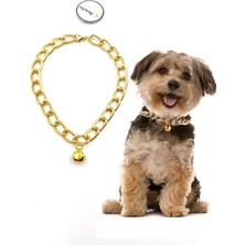 Feyza Design Ayarlanabilir Köpek Boyun Tasması ve Zincir Kolye, Şık ve Rahat Kullanım