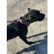 Feyza Design Hakiki Deri Cane Corso Tasma 60 cm Siyah, Şık ve Dayanıklı Köpek Aksesuarı