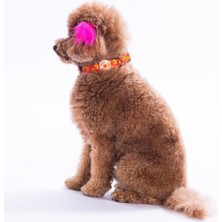 Feyza Design Renkli ve Şık Poodle Köpek Desenli Ayarlanabilir Köpek Boyun Tasması