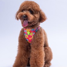 Feyza Design Nefes Alabilir Hava Kanatlı Kediler ve Köpekler Için Konforlu Göğüs Tasması
