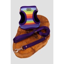 Feyza Design Renkli Köpek Göğüs Tasma Seti, Ayarlanabilir Gezdirme Kayışı, Eller Serbest