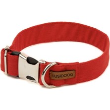 Feyza Design Renkli Köpek Boyun Tasması, Şık ve Rahat Tasarım