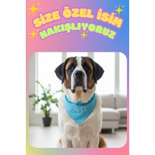 Feyza Design Kişiye Özel Büyük Irk Köpek Bandanası, Ayarlanabilir ve Şık Tasarım