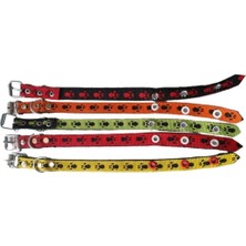 Feyza Design Yavru Köpekler Için Renkli ve Rahat Tasma Seti