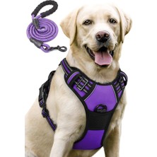 Feyza Design Reflektörlü Köpek Tasması ve Gezdirme Halatı Orta-Büyük Irk Için Set