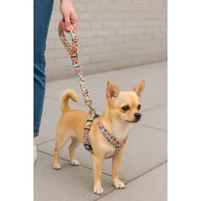 Feyza Design Köpek Tasma Seti 3'lü - Göğüs, Boyun ve Gezdirme Kayışı