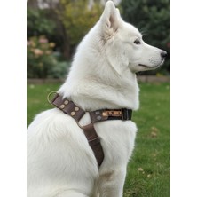 Feyza Design Ayarlanabilir Orta ve Büyük Irk Köpek Göğüs Tasması, Siyah ve Kahverengi