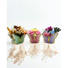 Ahfa Natural Craft Kelebek Tasarım Karton Kutuda Yapay Çiçek Hediye (3 Renk Seçeneği)