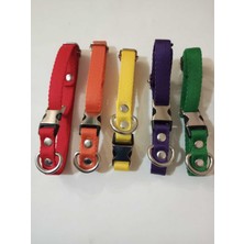 Feyza Design Ufağı ve Orta Irk Köpekler Için 5'li Tasmalar Seti, Şık ve Rahat Kullanım