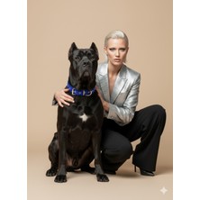 Feyza Design Yumuşak Dokulu Lacivert Kolon Köpek Tasması, Konforlu ve Şık Tasarım