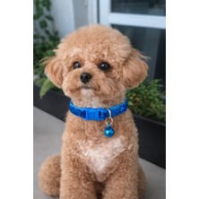 Feyza Design Parlak ve Ayarlanabilir Kedi ve Köpek Tasması, Şık ve Konforlu Kullanım