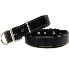 Feyza Design Yumuşak Dokulu Siyah Köpek Tasması ve Boyunluğu, Konforlu ve Şık Tasarım