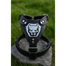 Feyza Design Büyük Boy Köpek Tasma ve Deri Örgü Göğüslük Siyah