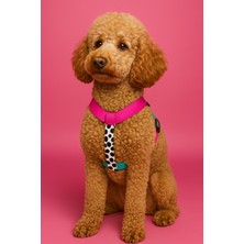 Feyza Design Ayarlanabilir H Tipi Köpek Göğüs Tasması, Konfor ve Güvenli Kullanım