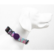 Feyza Design Renkli ve Dayanıklı Ayarlanabilir Köpek Boyun Tasması, Konforlu Kullanım