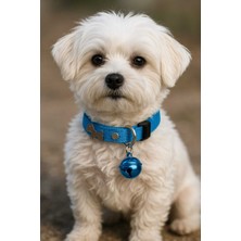 Feyza Design Sevimli Köpek Figürlü Zilli Tasma, Dayanıklı ve Şık Tasarım