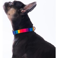 Feyza Design Renkli Gökkuşağı Desenli Ayarlanabilir Köpek Boyun Tasması