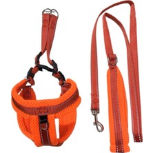 Feyza Design Konforlu Köpek Göğüs ve Bel Tasma Seti, Güvenli Seyahat Için Idealdir